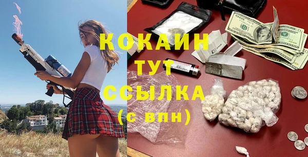 молекула духа Алексин