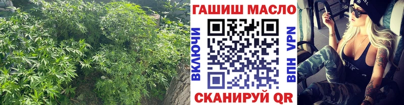 продажа наркотиков  Шелехов  omg онион  Дистиллят ТГК жижа 
