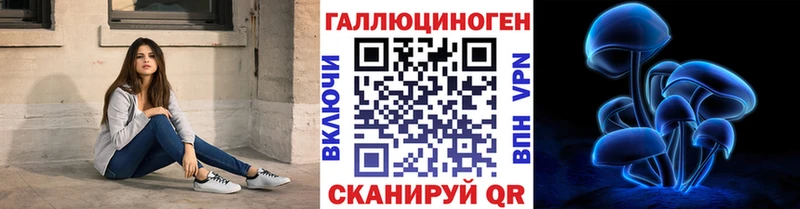 Галлюциногенные грибы мицелий  купить закладку  Шелехов 